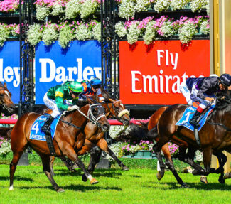 horses racing in front of Emirates advert