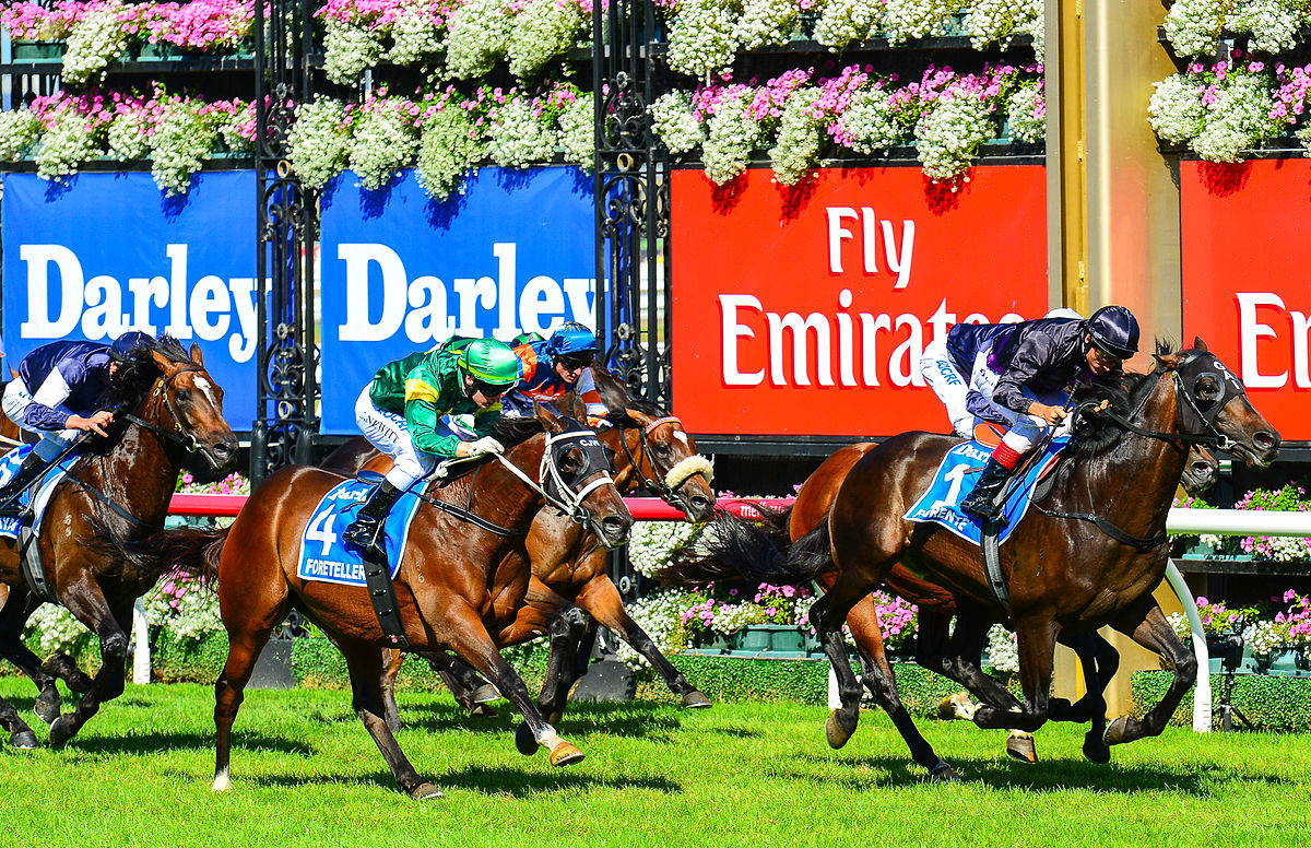 horses racing in front of Emirates advert