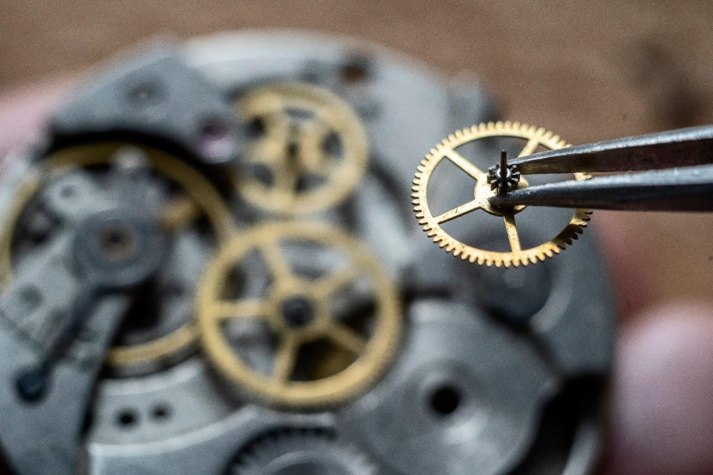 Gears in a mechanical watch with workman's tweezers holding a small gear